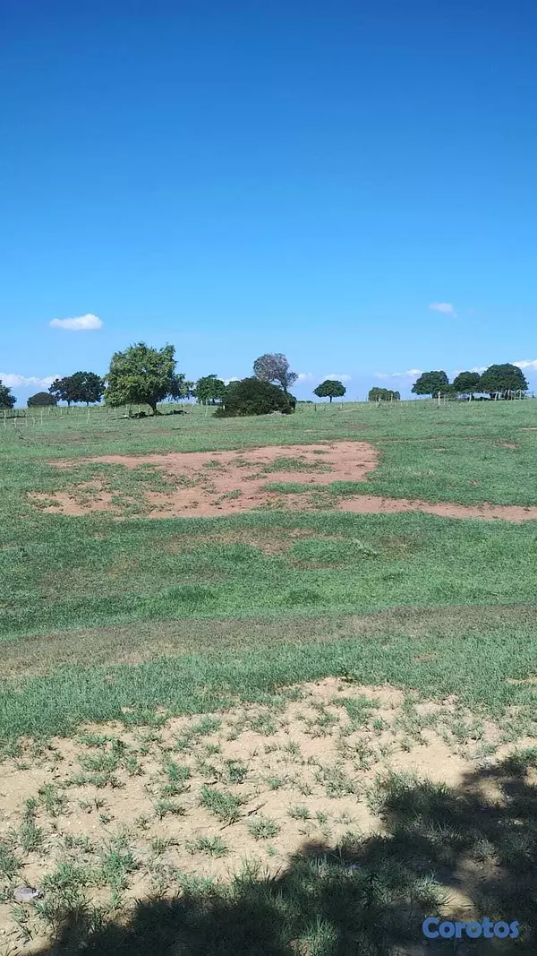 solares y terrenos - Finca Con Titulo 226 Tareas de Tierra.  7