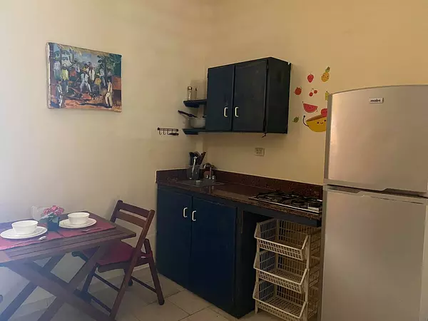 apartamentos - Alquiler Apartamento Amueblado de 1 Habitación Ubicado en la Zona Colonial 3