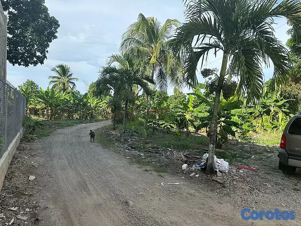 solares y terrenos - Venta de finca con edificación comercial residencial
precio por metro cuadrado 4