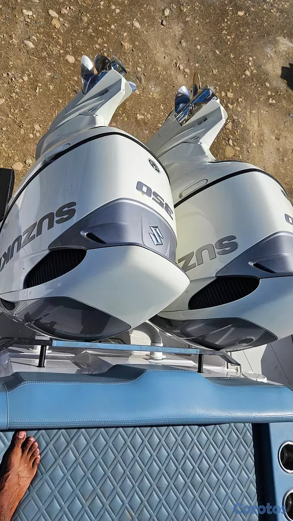 botes - título de florida con su matrícula de navegar en RD 15
