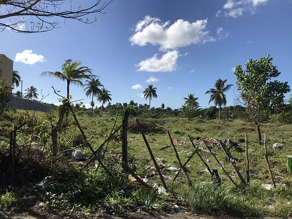 solares y terrenos - Terreno en la Guayiga de 49,456 metros en venta 3