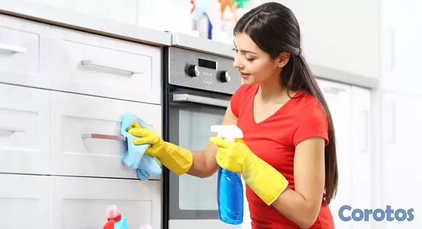 empleos disponibles - DOMESTICA PARA HOGAR CON DORMIDA