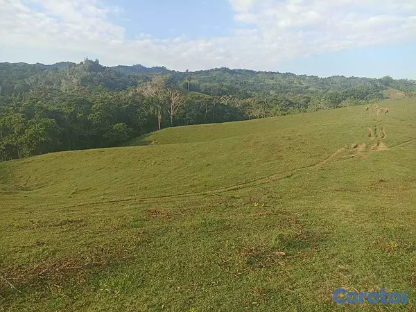 solares y terrenos - Finca Ganadera Oportunidad a 45 Minutos de ciudad 1
