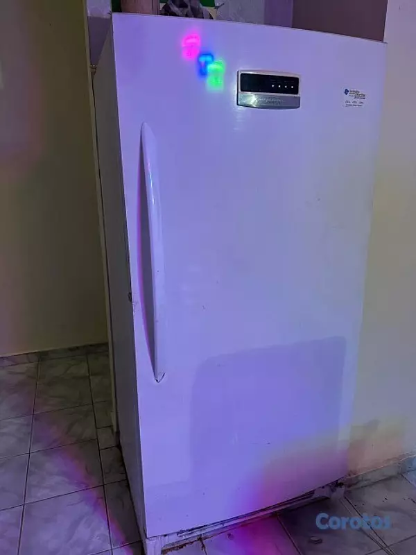 electrodomesticos - Freezer Congelador  1