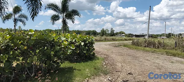 solares y terrenos - Se vende terreno en urbanización Lago de los Reyes 7