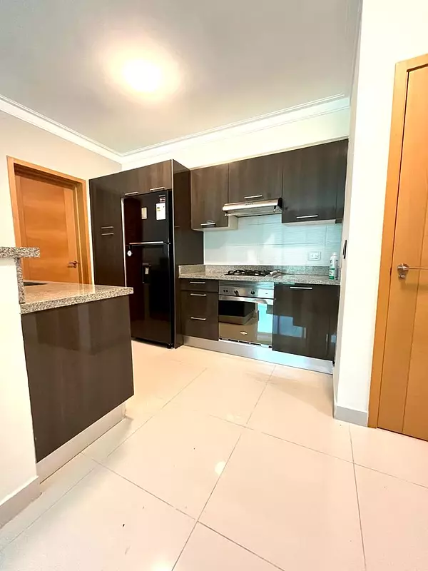 apartamentos - Alquilo apartamento amueblado en Gazcue  8