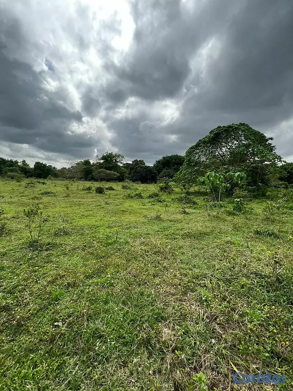 solares y terrenos - FINCA PARA DESARROLLO Y GANADERIA DE ALTO VALOR PR 15