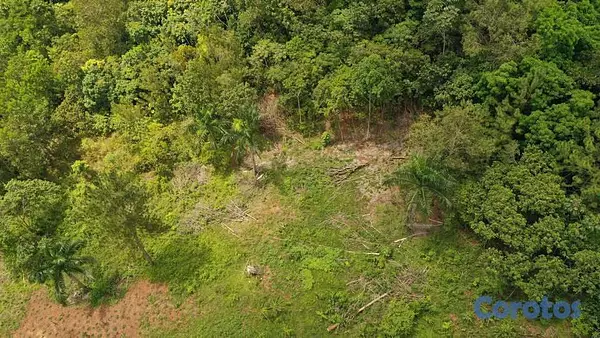 solares y terrenos - !OPORTUNIDAD UNICA! FINCA EN VENTA 3