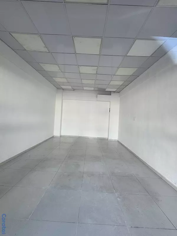 oficinas y locales comerciales - LOCAL COMERCIAL PIANTINI  2