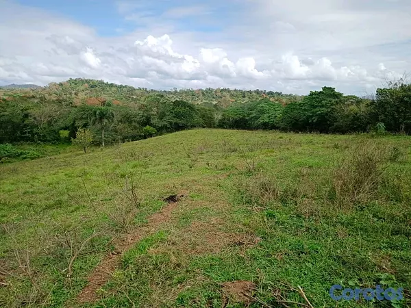 solares y terrenos - finca de 100 tareas con vocación agrícola y ganadera en yamasa  7