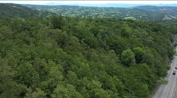 solares y terrenos - Terreno 46,151Mts2 Listo para el Desarrollo en Jarabacoa  2