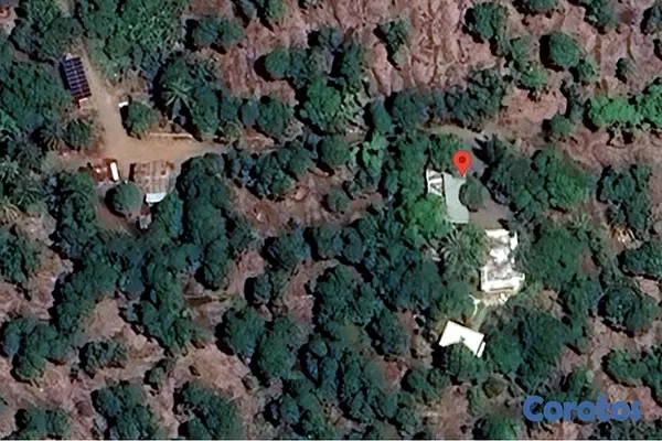 solares y terrenos - Venta de finca de mango en Baní por debajo del pre 5