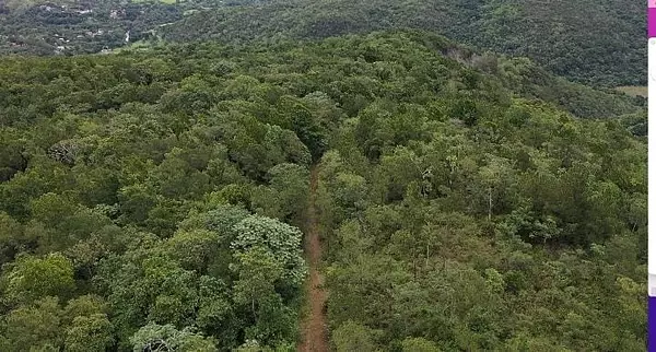 solares y terrenos - Terreno 46,151Mts2 Listo para el Desarrollo en Jarabacoa  3