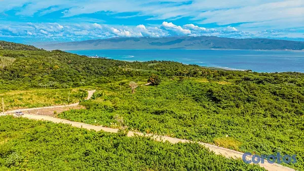 solares y terrenos - Venta de terrenos con títulos al día en Barahona 4