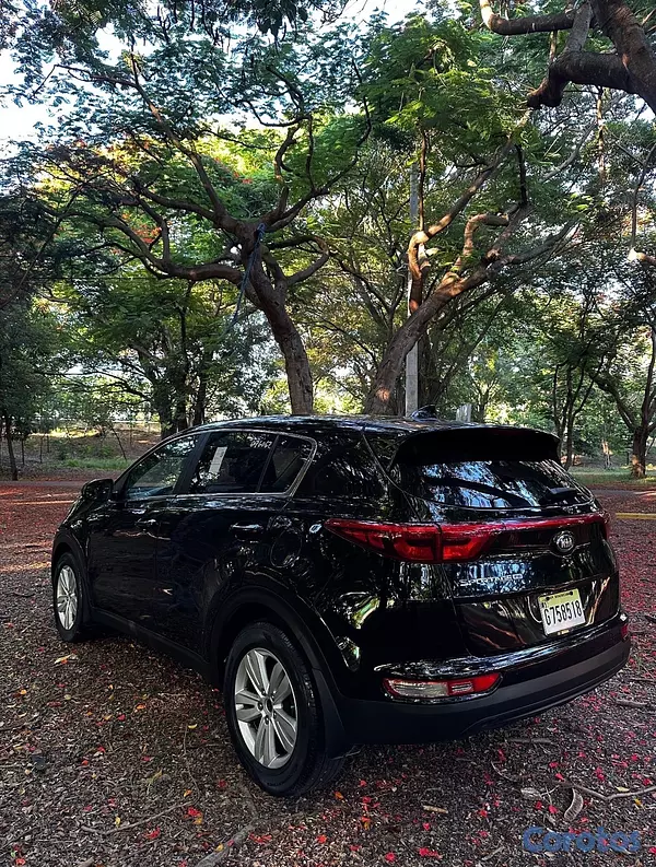 jeepetas y camionetas - Kia 2019 3