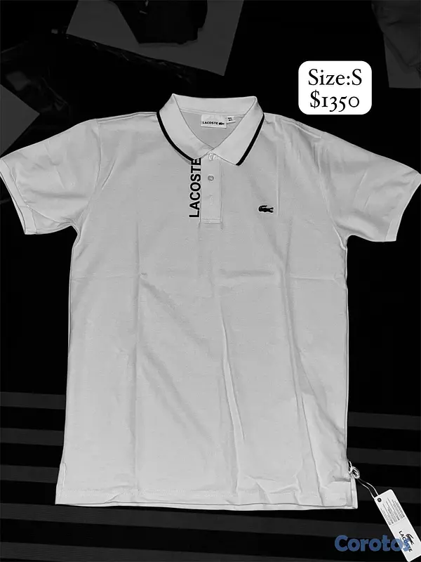 ropa para hombre - Colección de 8 camisetas de diseñador en excelente estado. 8