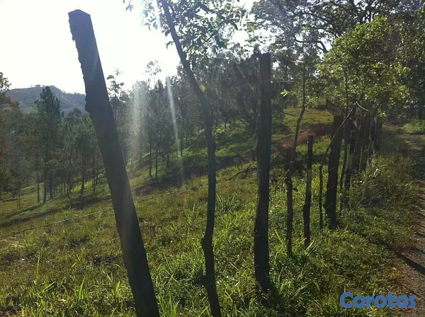 solares y terrenos - Finca en Jarabacoa 9