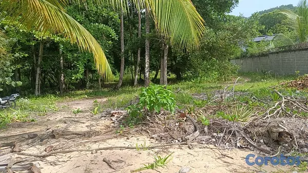 solares y terrenos - En Venta Solar en Playa Coson Samana 3