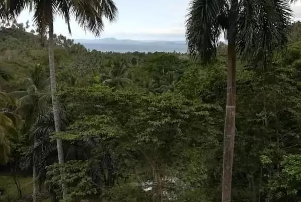 solares y terrenos - Se vende Solar Terreno en Samana 3
