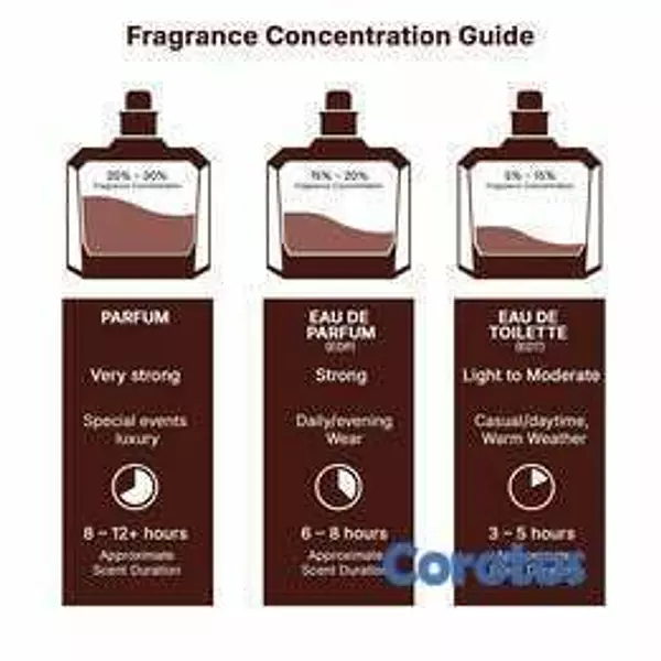 salud y belleza - Perfume Unisex Lattafa Al Noble Safeer – 3.4 oz 2
