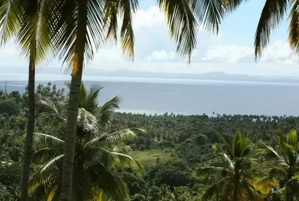 solares y terrenos - Se vende Solar Terreno en Samana 4