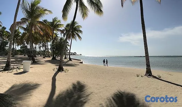 casas vacacionales y villas - venta de Villa amueblada con piscina en playa nueva Romana República Dominicana  4