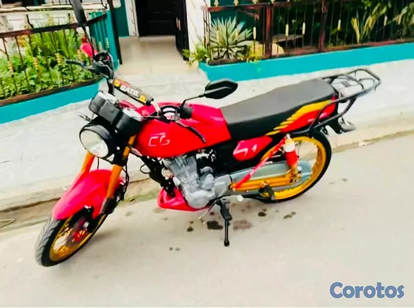motores y pasolas - Tauro Racing 250cc 
año 2021 5