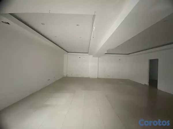 oficinas y locales comerciales - LOCAL COMERCIAL PIANTINI  2