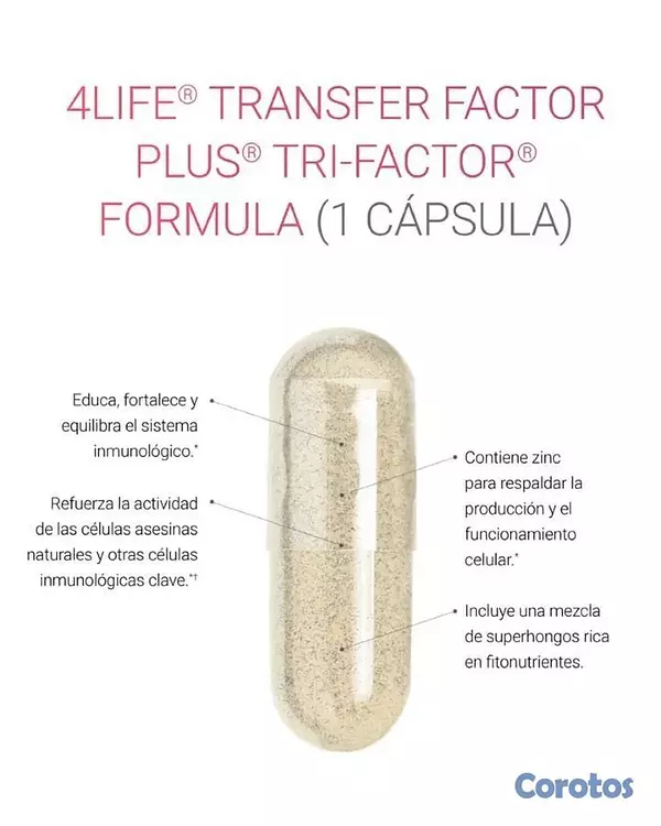 Salud y Equipamiento Médico - Suplementos y proteínas. 3