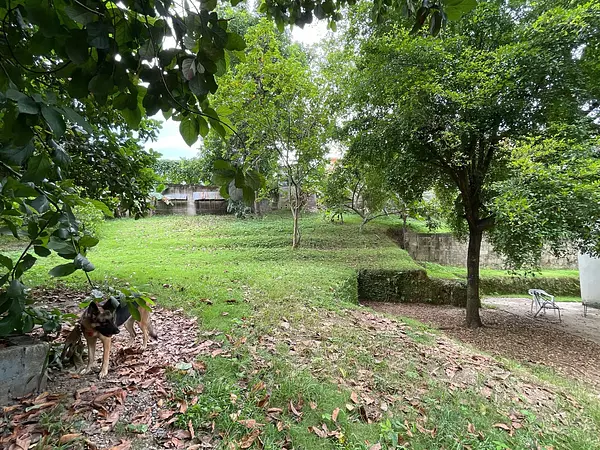 casas - Casa en Venta  en Arroyo Hondo 7