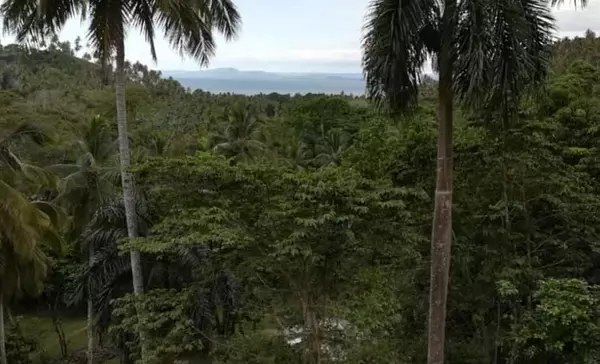 solares y terrenos - Se vende Solar Terreno en Samana 5
