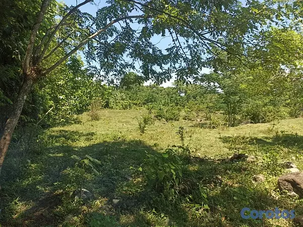 solares y terrenos - Se vendé este terreno con título definitivo  6
