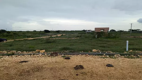 solares y terrenos - terreno en venta en Boca Chica 4