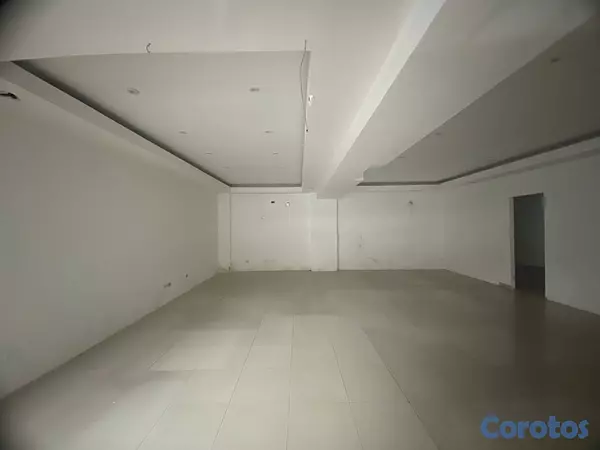 oficinas y locales comerciales - LOCAL COMERCIAL PIANTINI  3