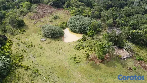 solares y terrenos - Venta de solar en Samana 6