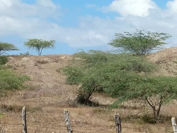 solares y terrenos - Solar de 2,000 tareas en Laguna Salada, Valverde 2
