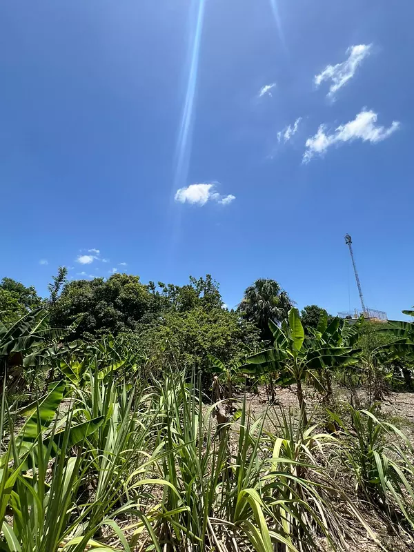 solares y terrenos - Terreno de Venta en Villa Olimpica  7
