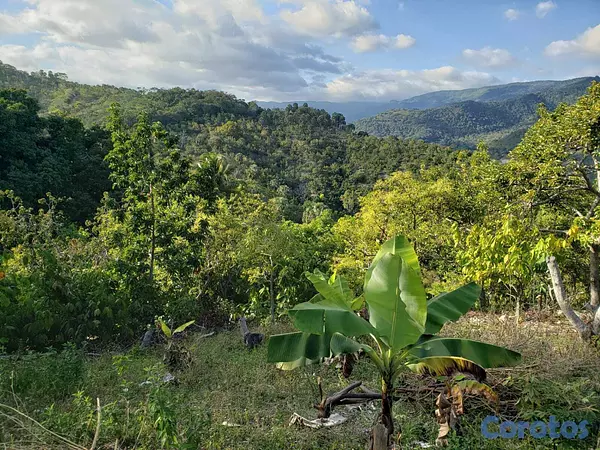 solares y terrenos - Vendo Finca de AGUACATE en Paraíso, BARAHONA, 255,600 Mts.2, VISTA AL MAR (en Pr 2