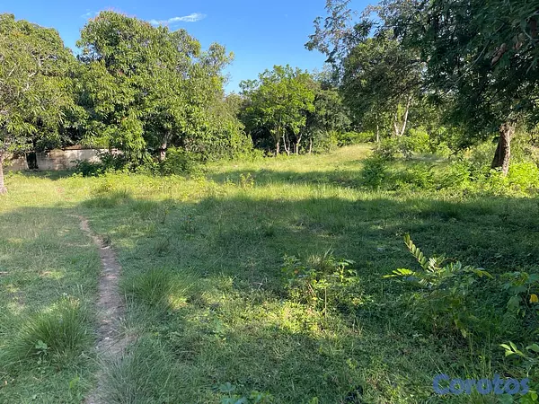 casas - Oportunidad! 38,000 m² en Nigua - Ideal para Naves o Parqueo 3