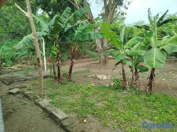 casas - 🔵Casa en Puñal, Guayabal, Santiago de los Caballero 7