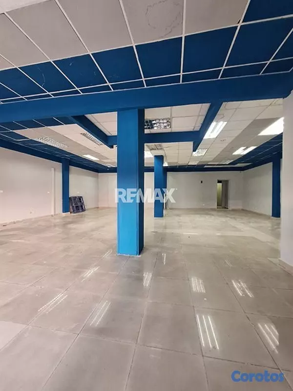 oficinas y locales comerciales - Local comercial de 172mt2 en alquiler en San Carlo 14