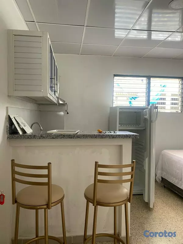 apartamentos - Alquiler Apartamento Estudio Amueblado, Av Delgado, Gazcue 5