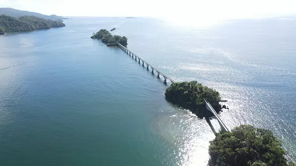 solares y terrenos -  Vendo   Terreno con 46,000.00 Mt2 en Samaná  5