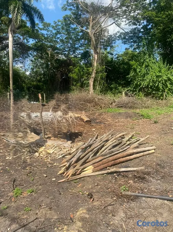 solares y terrenos - Terreno de Venta en Gurabo, Santiago 4