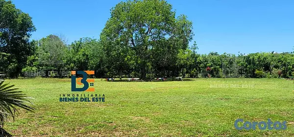 solares y terrenos - SE VENDE DE OPORTUNIDAD Excelente Finca con 3,000  1