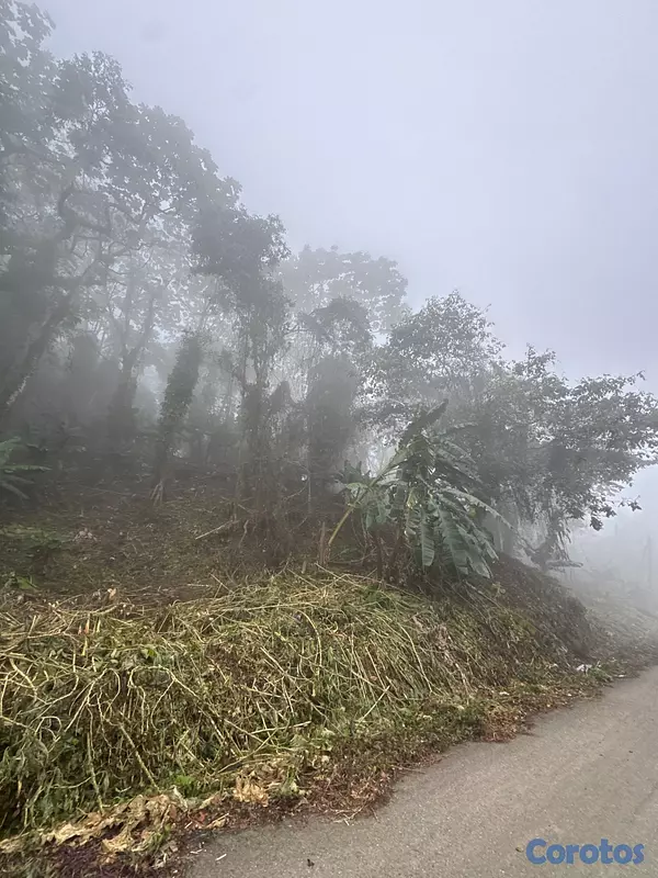 solares y terrenos - Solares en la montaña con vista a puerto plata  9