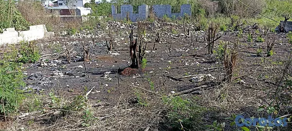 solares y terrenos - Solar en el Residencial Los Jardines de Bocha Chica 6