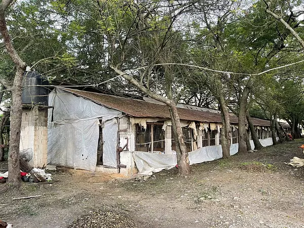 otros inmuebles - Granja de pollo  en moca con  30 tareas 5