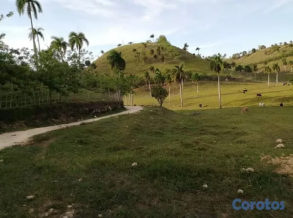 solares y terrenos - finca de venta en jamao al norte  5
