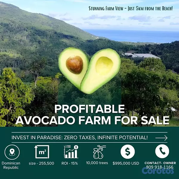 solares y terrenos - Vendo Finca de AGUACATE en Paraíso, BARAHONA, 255,600 Mts.2, VISTA AL MAR (en Pr 8